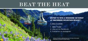 Snowbird Giveaway